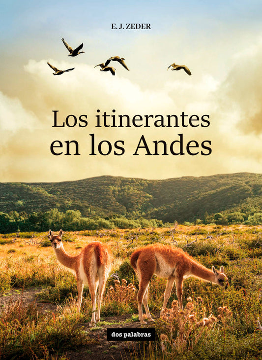 Los Itinerantes en los Andes - Libro Digital